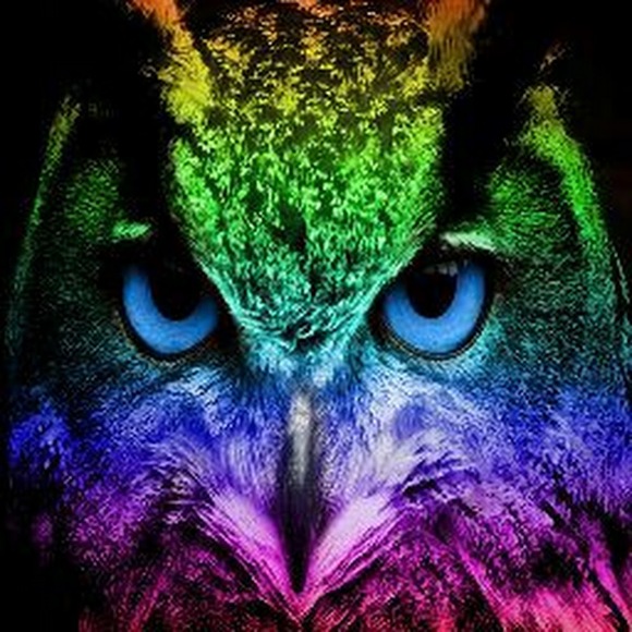 Meet your Posher, Alex - Picture 1 of 1